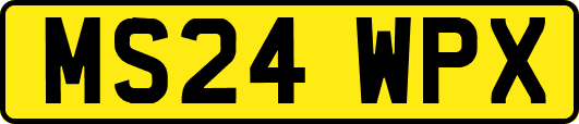 MS24WPX