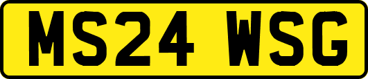 MS24WSG