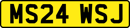 MS24WSJ