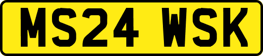 MS24WSK