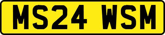 MS24WSM