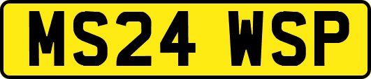 MS24WSP