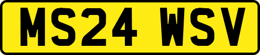 MS24WSV