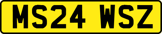 MS24WSZ