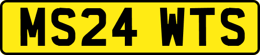 MS24WTS