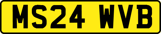 MS24WVB