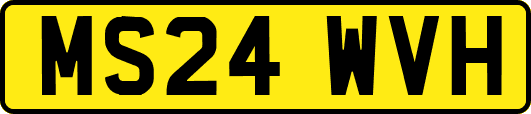 MS24WVH