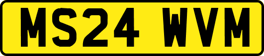 MS24WVM