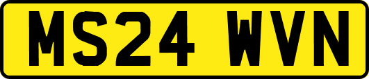 MS24WVN