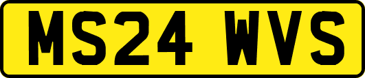 MS24WVS
