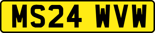 MS24WVW