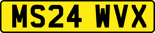 MS24WVX