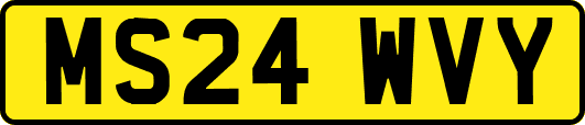MS24WVY