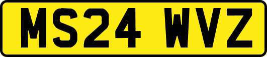 MS24WVZ