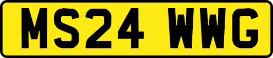 MS24WWG