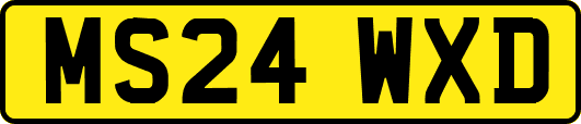 MS24WXD
