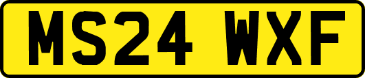 MS24WXF