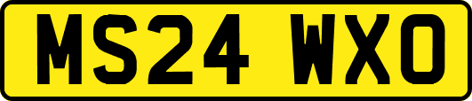 MS24WXO