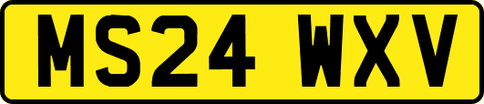 MS24WXV