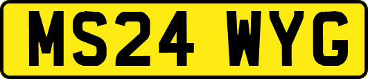 MS24WYG