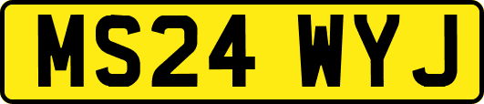MS24WYJ