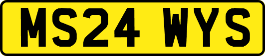 MS24WYS