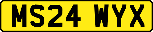 MS24WYX