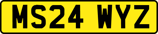 MS24WYZ