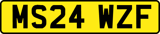 MS24WZF