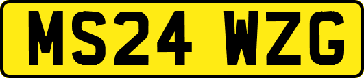 MS24WZG
