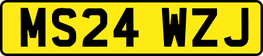 MS24WZJ