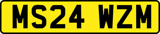 MS24WZM