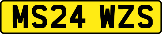 MS24WZS
