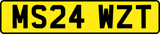 MS24WZT