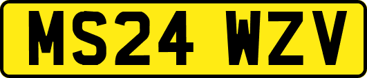 MS24WZV