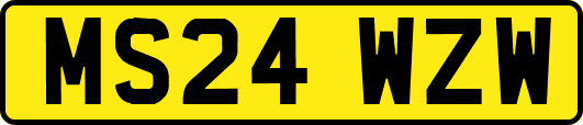 MS24WZW