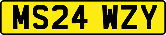 MS24WZY