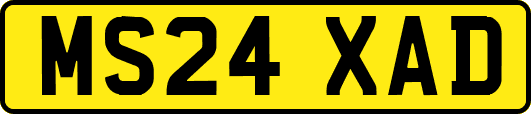 MS24XAD