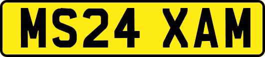 MS24XAM