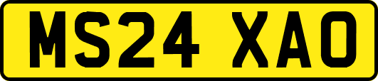 MS24XAO