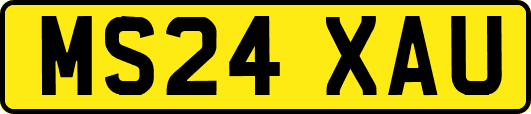 MS24XAU
