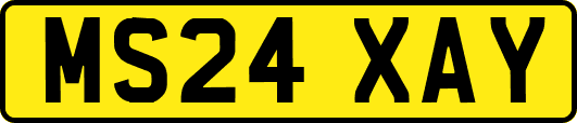 MS24XAY