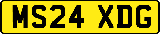 MS24XDG