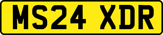 MS24XDR