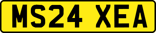MS24XEA