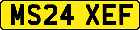 MS24XEF