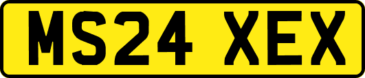 MS24XEX
