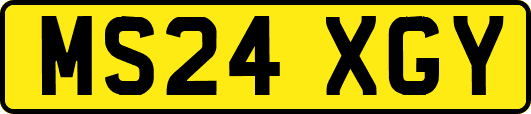 MS24XGY