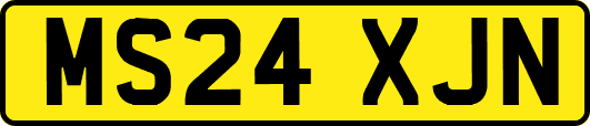 MS24XJN