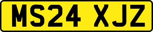 MS24XJZ